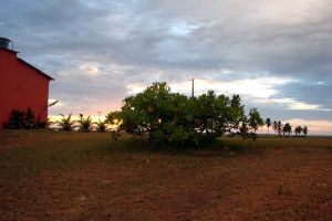 Pousada Lua Nua Urussuquaral 39